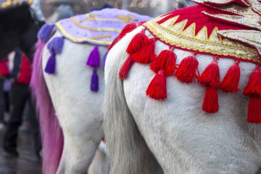 Süslü panço pelerini atın arkasında.