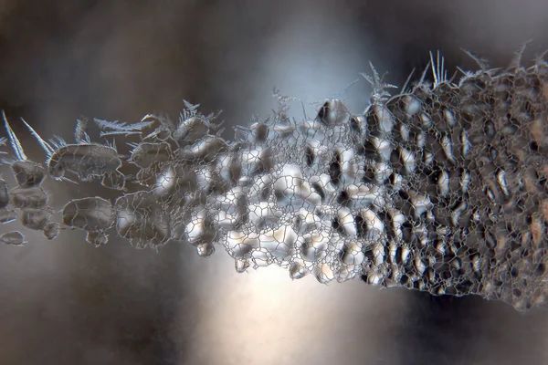 Niezwykły mróz na zimowym oknie — Zdjęcie stockowe