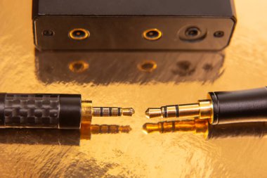 İki adet 3.5 mm kulaklık, altın kaplamalı arka plan, ses teknolojisi ve bağlantı için mükemmel..