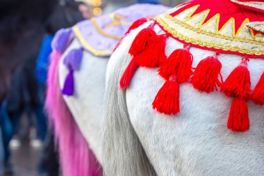 Canlı dekoratif eyerler ve renkli püsküller giyen atlar neşeli kentsel bir alanda dururlar. Seyircilerle dolu neşeli bir atmosferin keyfini çıkarırlar..