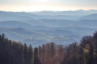 Ukrayna Karpatlarının dağlık bölgelerinde manzara ve doğa