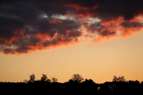 Kontrastprogramm zum Sonnenuntergang über Bäumen — Stockfoto