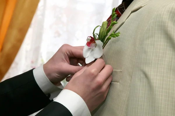 Each helps to put the flower on the suit for the groom Stock Image