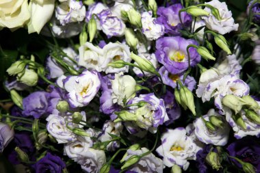 farklı renklerde güzel buket yakın çekim