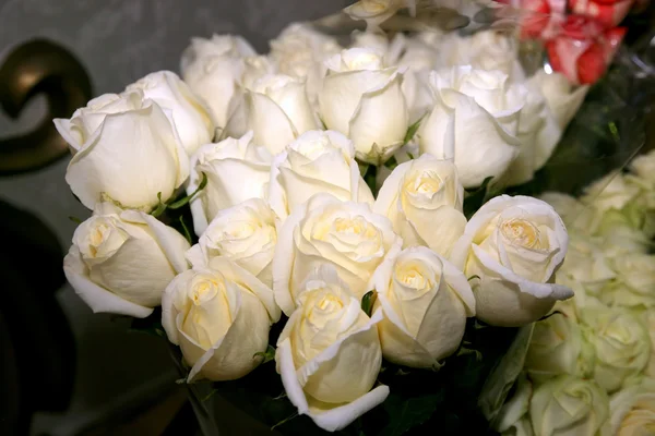 Beau grand bouquet de roses blanches — Photo