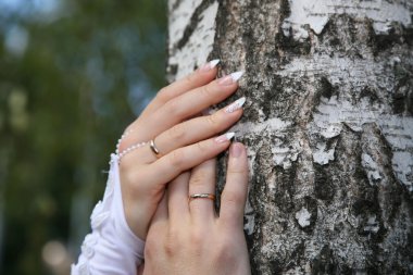 Gelin ve damat Birleşik eller yakın çekim