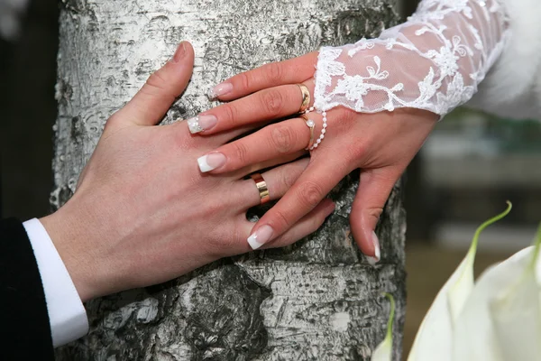 Noiva e noivo mostrar suas mãos usando anéis de casamento — Fotografia de Stock