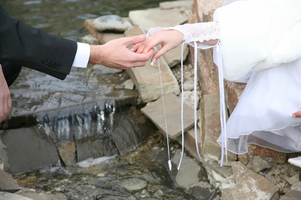 Novio sostiene a la novia por la mano de cerca —  Fotos de Stock