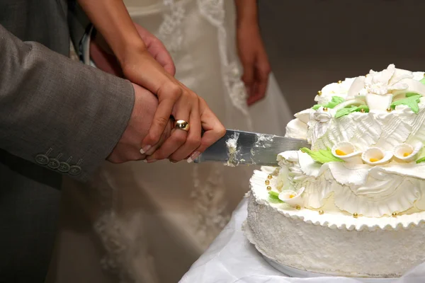 Bride and groom cut the wedding cake closeup — Stock Photo, Image