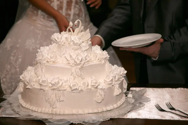 Noiva e noivo cortam o bolo — Fotografia de Stock