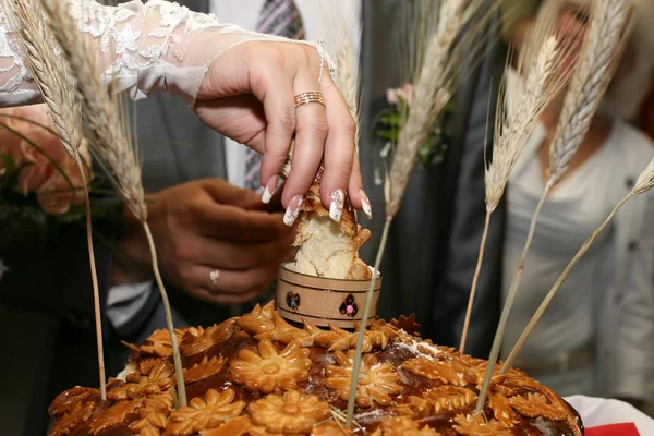 Sal novia un pedazo roto de pan de boda —  Fotos de Stock