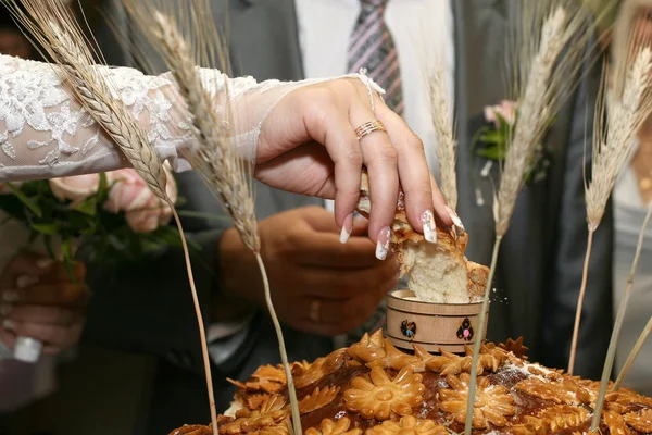 Сіль наречена зламаний шматок весільного хліба — стокове фото