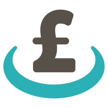 Lirası mevduat yerleşim düz vektör simgesi simgesi