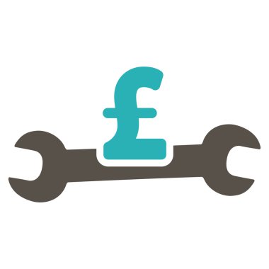 Düz vektör simgesi simgesi hizmet Lirası maliyet