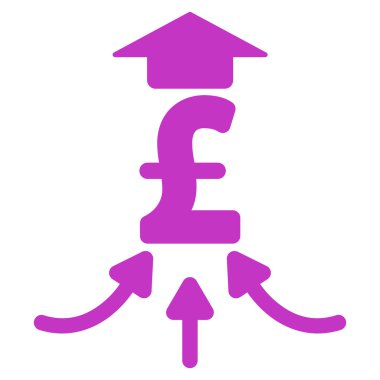 Lirası mali toplayıcı düz vektör simgesi simgesi