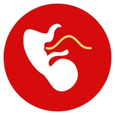 Embriyo düz yuvarlak simge