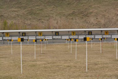 Baharda aralığı alan çekim Biatlon