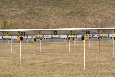 Baharda aralığı alan çekim Biatlon