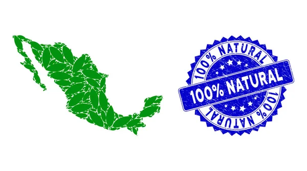 Mexikanische Kartencollage aus Coca-Blatt-Artikeln und Grunge 100 Prozent natürlichem Siegel — Stockvektor