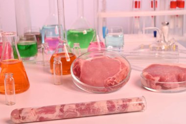 Hayvan Hücrelerinin Vitro Hücre Kültüründe Kültürlü Et Yetiştirildi