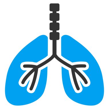 Sistem kutsal kişilerin resmi nefes