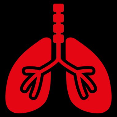 Sistem kutsal kişilerin resmi nefes