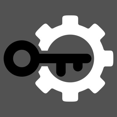 Anahtar seçenekleri simgesi