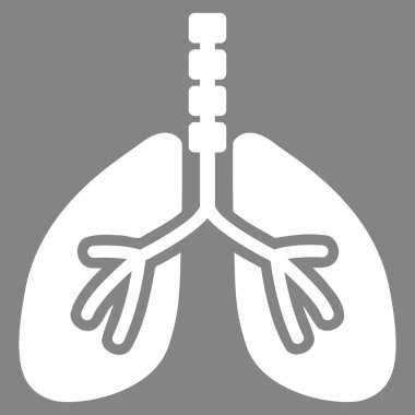 Sistem kutsal kişilerin resmi nefes