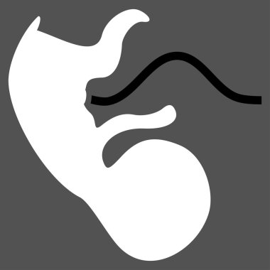 Maymun embriyo simgesi