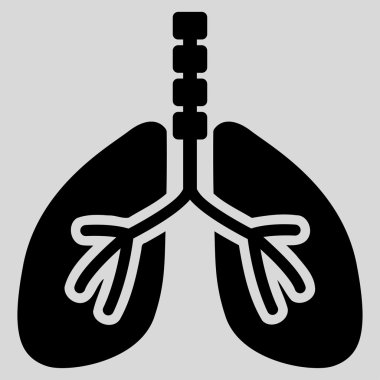 Sistem kutsal kişilerin resmi nefes