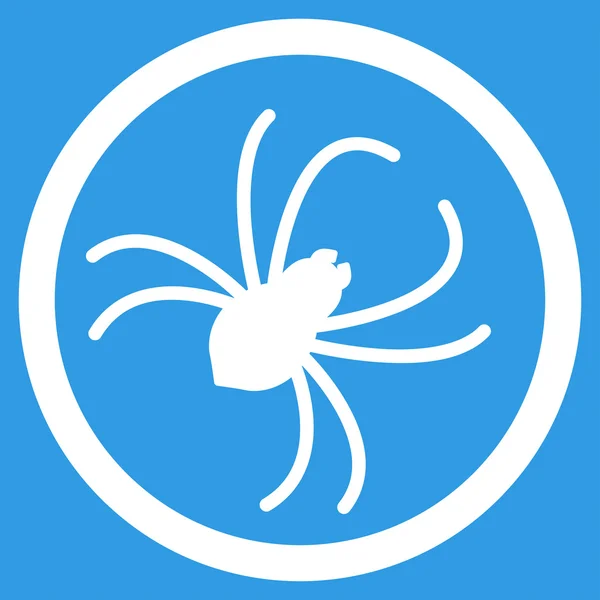 Spider Flat Icon — Stock Photo, Image