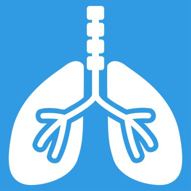 Sistem kutsal kişilerin resmi nefes