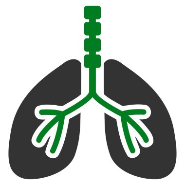 Sistem kutsal kişilerin resmi nefes