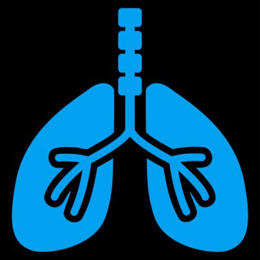 Sistem kutsal kişilerin resmi nefes