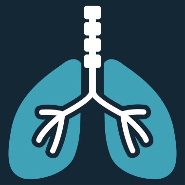 Sistem kutsal kişilerin resmi nefes