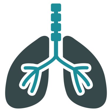 Sistem kutsal kişilerin resmi nefes