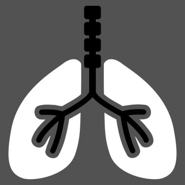 Sistem kutsal kişilerin resmi nefes