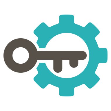 Anahtar seçenekleri simgesi