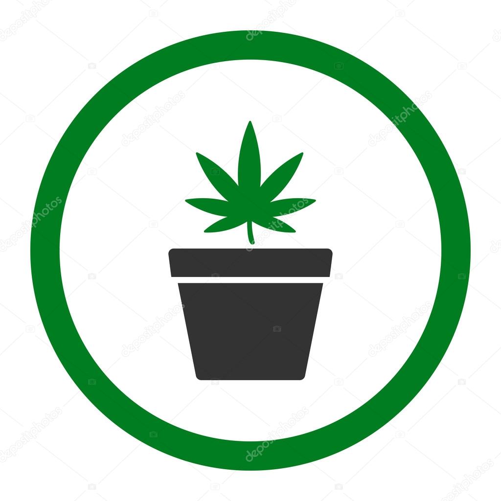 Cannabis Pot Rounded Vector Icon