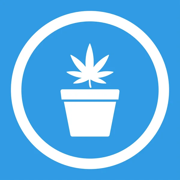 Cannabis Pot Rounded Vector Icon — Stock Vector