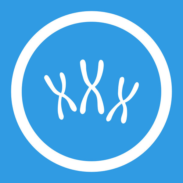 Chromosomes Rounded Vector Icon
