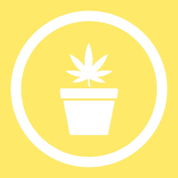 Cannabis potten rundade vektor Icon — Stock vektor