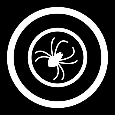 Örümcek yuvarlak vektör simgesi