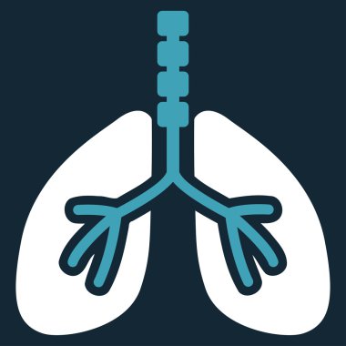 Sistem kutsal kişilerin resmi nefes