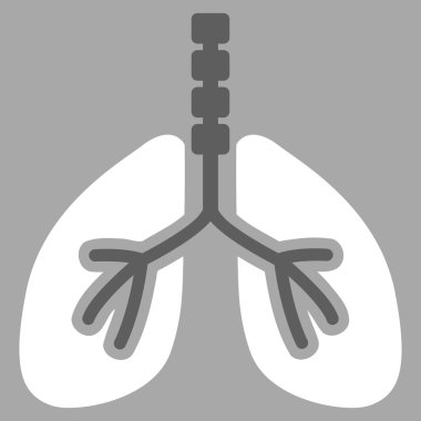 Sistem kutsal kişilerin resmi nefes