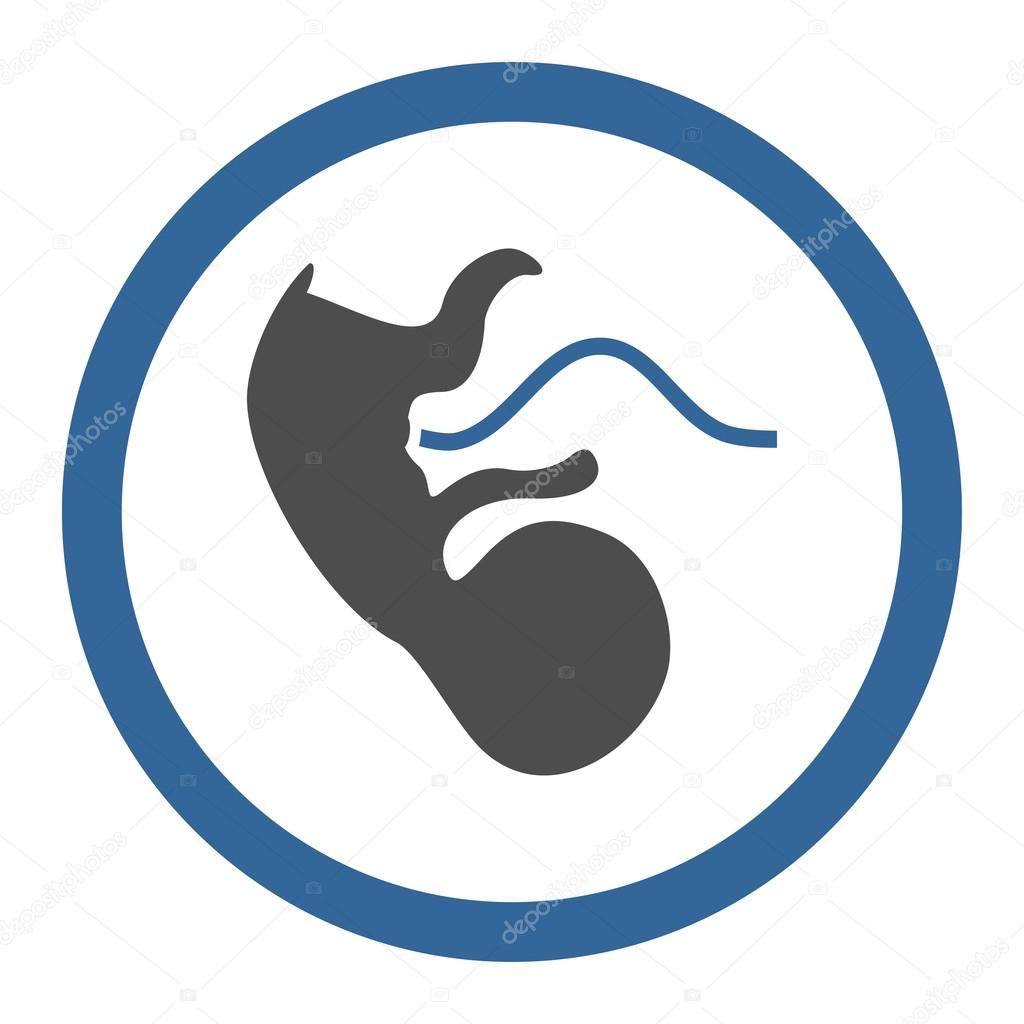 Primacy Embryo Rounded Vector Icon