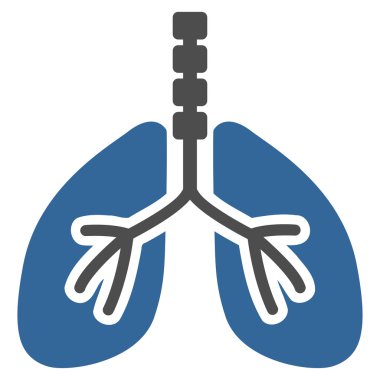 Sistem kutsal kişilerin resmi nefes