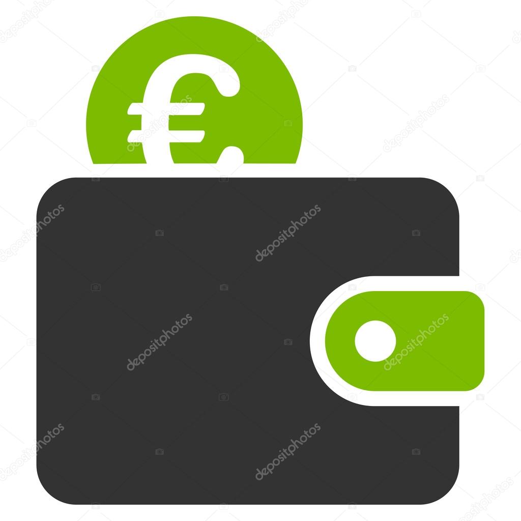 Euro Wallet Icon