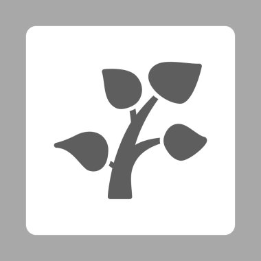 Bitki Yuvarlak Kare Düğmesi