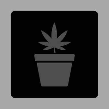 Ot Pot yuvarlak kare düğme